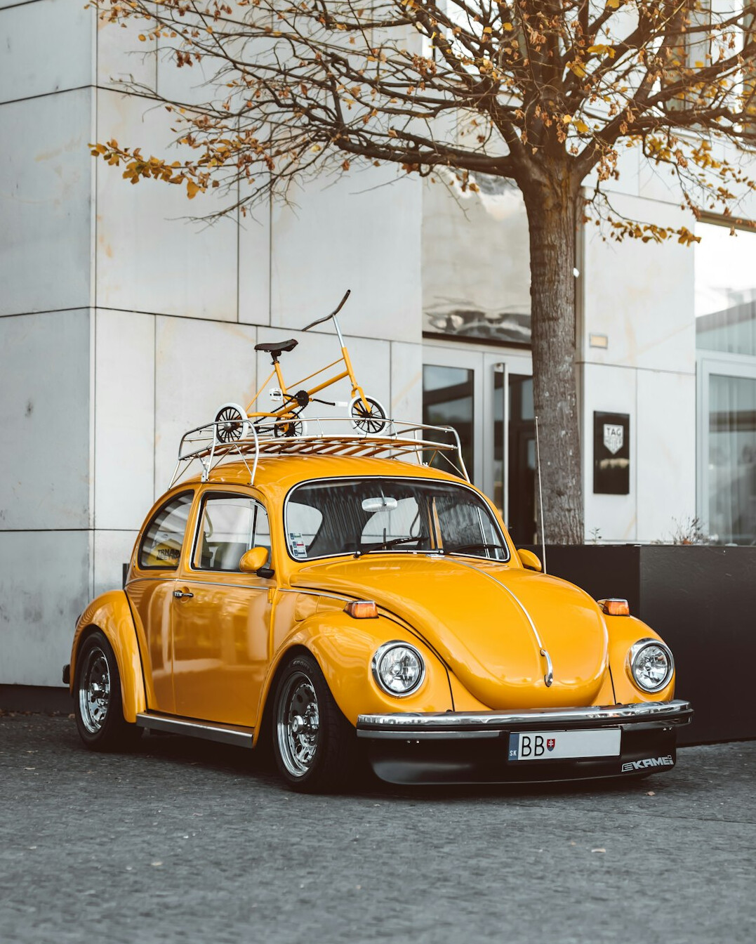 classic beetle car